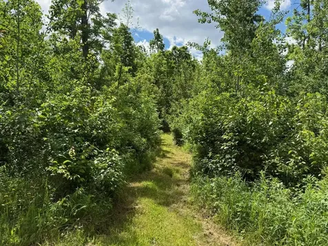 63872 Kingsdale Road Sandstone MN 55072