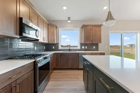 15029 Ardmullivan Lane Rosemount MN 55068