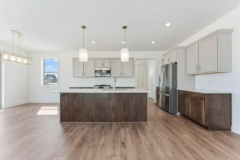 15032 Ardmullivan Lane Rosemount MN 55068
