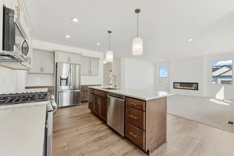 15032 Ardmullivan Lane Rosemount MN 55068