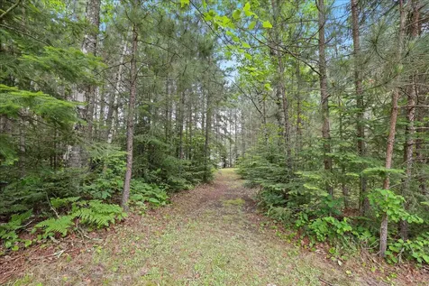 51946 N Wasson Lake Road Bigfork MN 56628