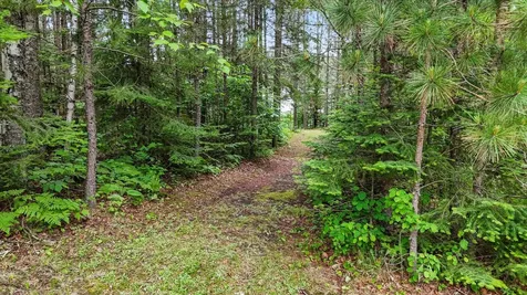 51946 N Wasson Lake Road Bigfork MN 56628