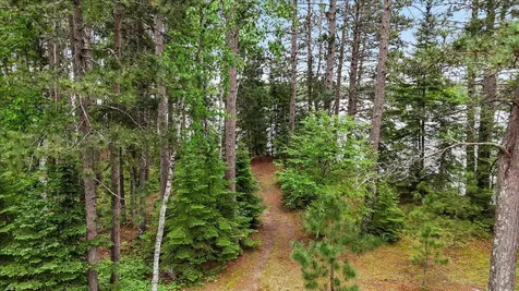 51946 N Wasson Lake Road Bigfork MN 56628