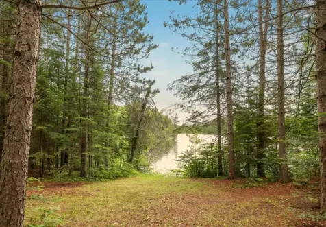 51946 N Wasson Lake Road Bigfork MN 56628