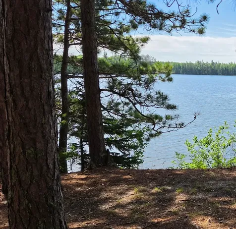 51946 N Wasson Lake Road Bigfork MN 56628