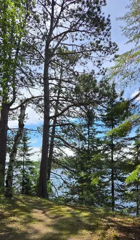 51946 N Wasson Lake Road Bigfork MN 56628