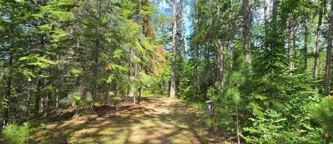 51946 N Wasson Lake Road Bigfork MN 56628