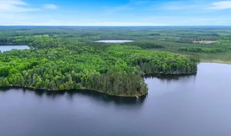 51946 N Wasson Lake Road Bigfork MN 56628
