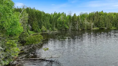 51946 N Wasson Lake Road Bigfork MN 56628