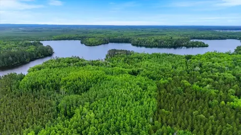 51946 N Wasson Lake Road Bigfork MN 56628