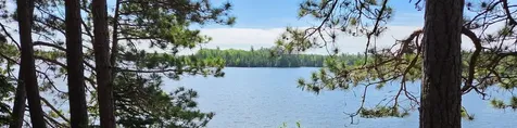 51946 N Wasson Lake Road Bigfork MN 56628