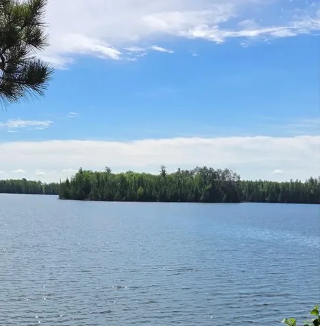51946 N Wasson Lake Road Bigfork MN 56628