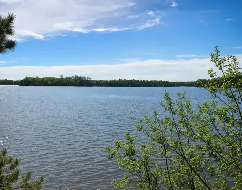 51946 N Wasson Lake Road Bigfork MN 56628