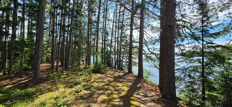 51946 N Wasson Lake Road Bigfork MN 56628