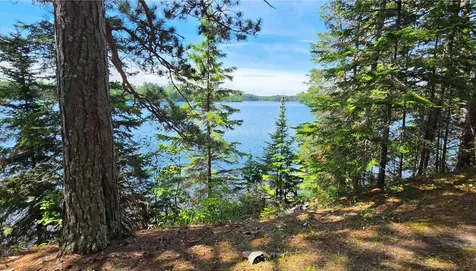 51946 N Wasson Lake Road Bigfork MN 56628