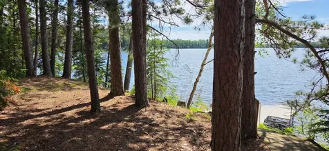 51946 N Wasson Lake Road Bigfork MN 56628