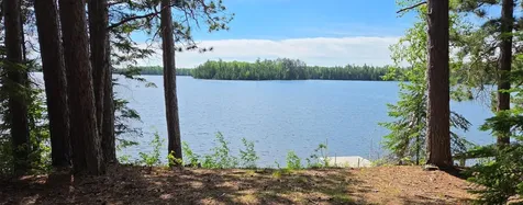 51946 N Wasson Lake Road Bigfork MN 56628