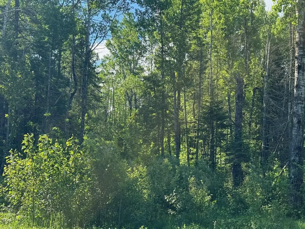 1576 County Road 8 Holyoke MN 55749