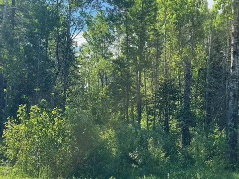 1576 County Road 8 Holyoke MN 55749