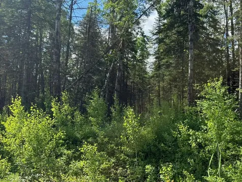 1576 County Road 8 Holyoke MN 55749