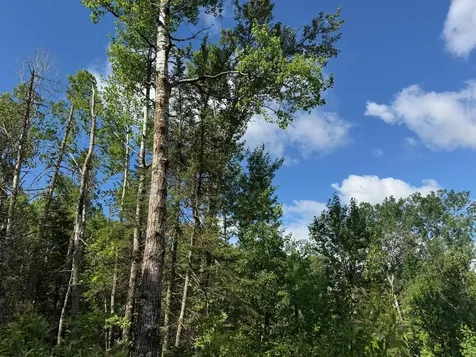 1576 County Road 8 Holyoke MN 55749