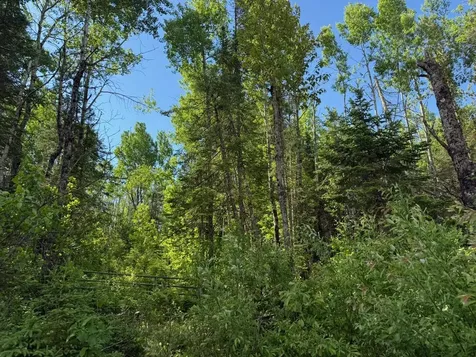 1576 County Road 8 Holyoke MN 55749