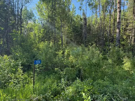 1576 County Road 8 Holyoke MN 55749
