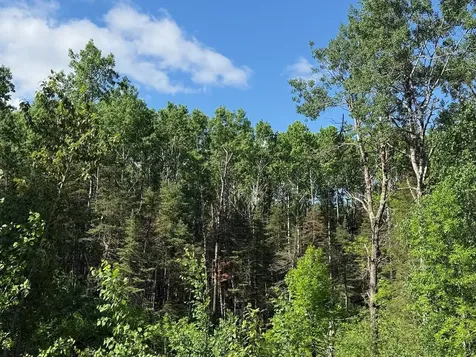 1576 County Road 8 Holyoke MN 55749