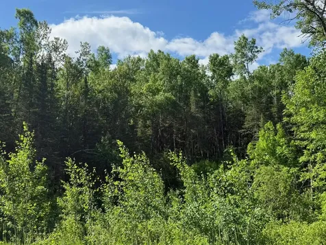 1576 County Road 8 Holyoke MN 55749