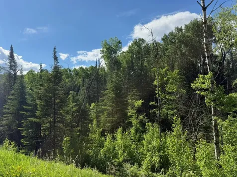 1576 County Road 8 Holyoke MN 55749
