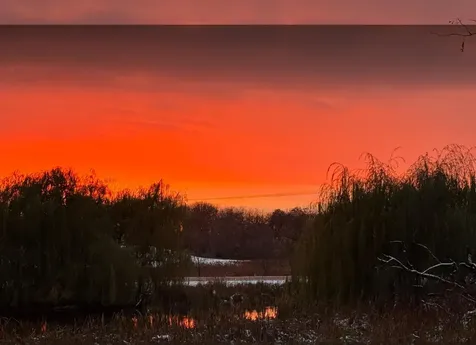 940 S Brown Road Wayzata MN 55391