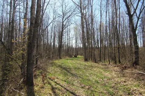 TBD-2 County Road 41 Willow River MN 55795