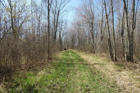 TBD-2 County Road 41 Willow River MN 55795
