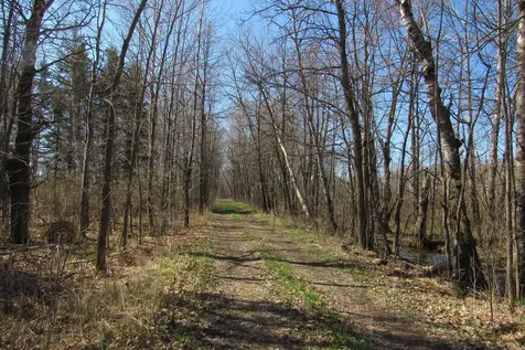 TBD-1 County Road 41 Willow River MN 55795