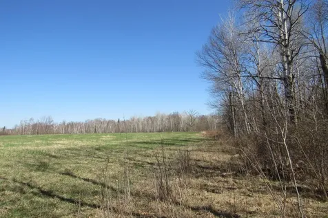 TBD-1 County Road 41 Willow River MN 55795