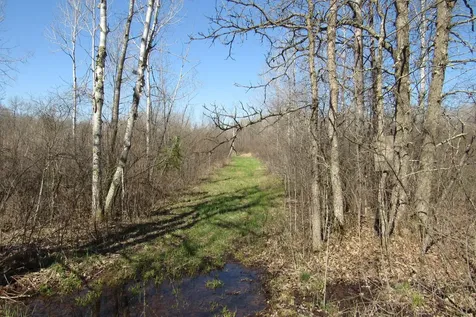 TBD-1 County Road 41 Willow River MN 55795