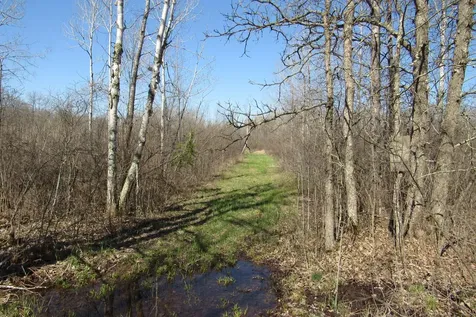 TBD-1 County Road 41 Willow River MN 55795
