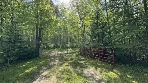 60905 Bearville Trail Cook MN 55723