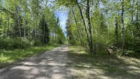 60905 Bearville Trail Cook MN 55723