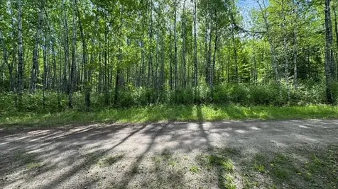 60905 Bearville Trail Cook MN 55723