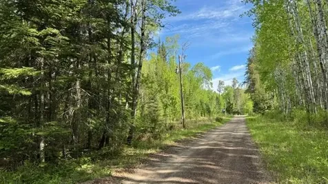 60905 Bearville Trail Cook MN 55723