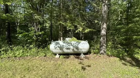 60905 Bearville Trail Cook MN 55723