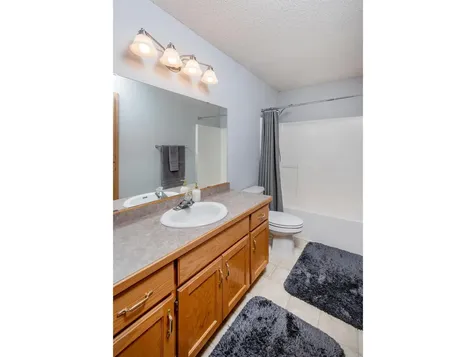 4510 Mayelin Avenue NE Saint Michael MN 55376