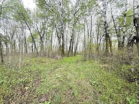 Tbd County Highway 36 Frazee MN 56544