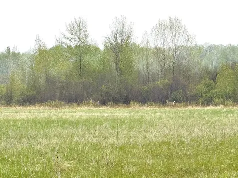 Tbd County Highway 36 Frazee MN 56544