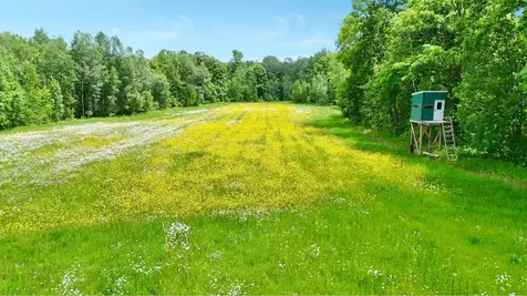 Tbd 390th Avenue Hillman MN 56338