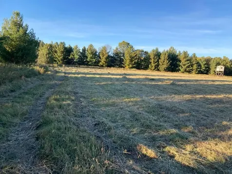 Tbd Hummingbird Road Braham MN 55006