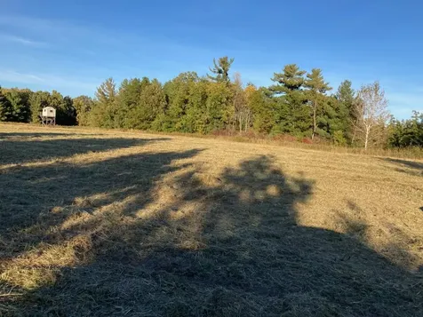 Tbd Hummingbird Road Braham MN 55006