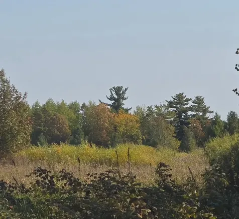 Tbd Hummingbird Road Braham MN 55006