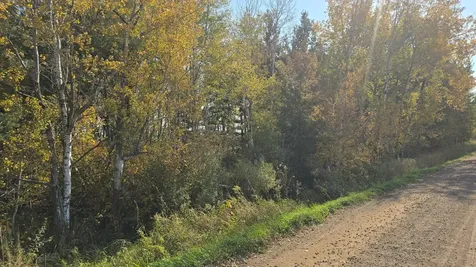 Tbd Hummingbird Road Braham MN 55006